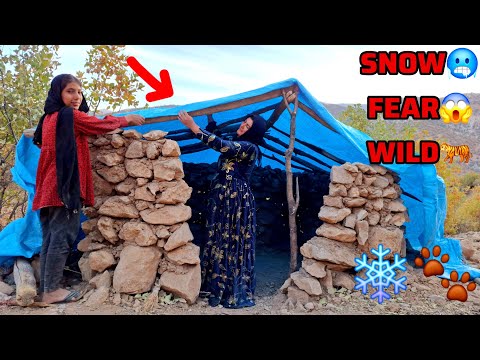 Видео: Нападение диких животных. Бездомная мать накрыла крышу хижины, чтобы защитить себя.