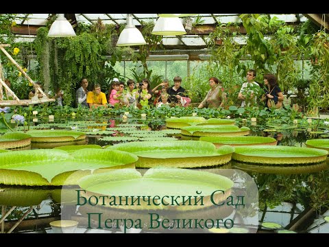 Видео: Ботанический  Сад Петра Великого. Санкт-Петербург. Peter the Great Botanical Garden. May 2021.