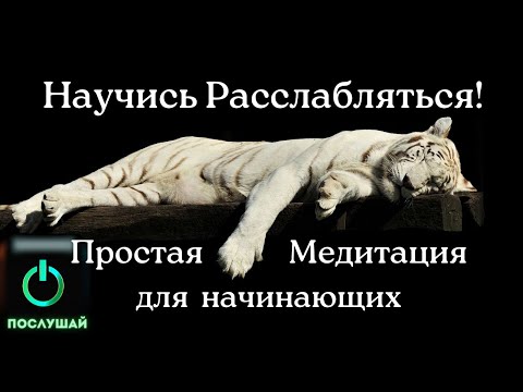 Видео: 🟢Медитация для начинающих.✨Здесь и сейчас техника расслабления