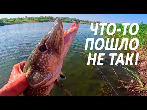 Видео: 🔥 ТОП-5 НЕОБЫЧНЫХ СЛУЧАЕВ при ЛОВЛЕ ЩУКИ на воблеры и блесны (руками, отцепом и даже спиной) 🔥