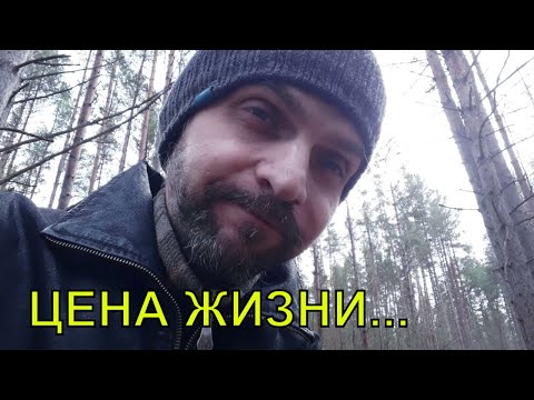 Видео: Цена человеческой жизни