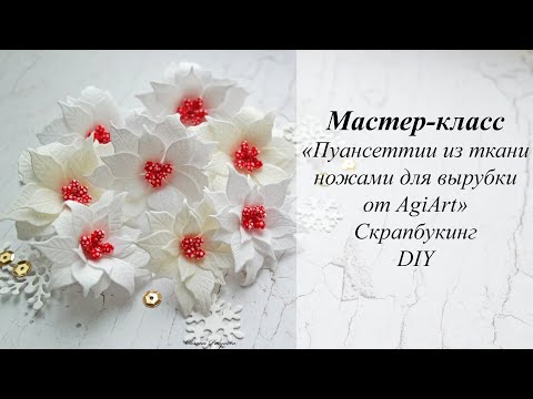 Видео: Мастер-класс «Пуансеттии из ткани ножами для вырубки от AgiArt» | Скрапбукинг | DIY