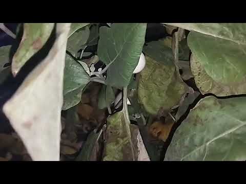 Видео: 🌅🕊️ДЕНЬ НАЧАЛСЯ И ПОГНАЛИ!😉