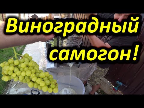 Видео: Виноградный самогон