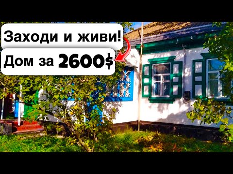Видео: 🇺🇦 Заходи и живи! Дом в селе за 2600$ Продажа недвижимости за копейки! Всё есть! Уютное тихое село