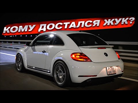 Видео: Кому достался Жук?