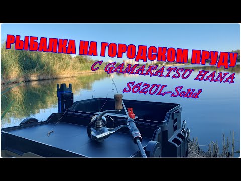 Видео: Рыбалка в городском пруду с Gamakatsu Hana S62UL-Solid