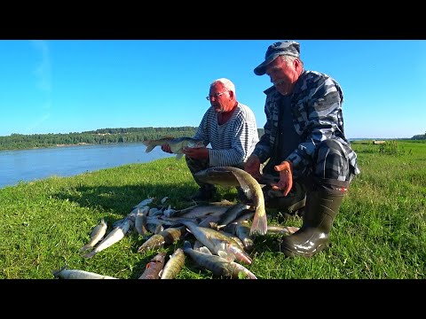 Видео: Как СТАРИКИ в Сибирской ГЛУШИ РЫБУ ЛОВЯТ! Нам ещё УЧИТЬСЯ и УЧИТЬСЯ! Рыбалка на резинку!