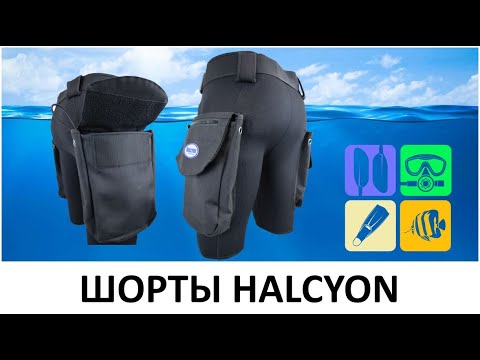 Видео: ШОРТЫ HALCYON  #ДайвингЭтоПросто