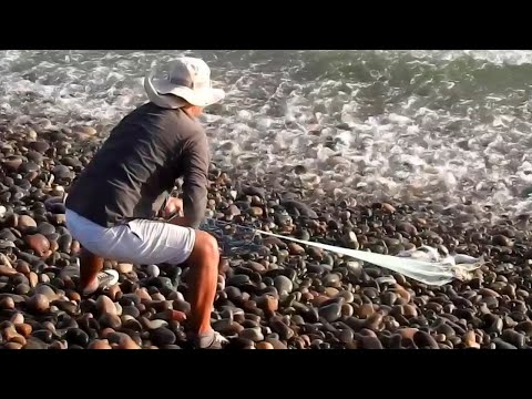 Видео: Море бурное, но на берегу тысячи рыб... Посмотрите, какой улов они поймали!