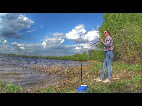 Видео: Ловлю ЛЕЩА на ДОНКИ и ПЕНОПЛАСТ. РЫБАЛКА на крокодилы. Река ВОЛГА. Russian fishing