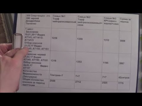 Видео: АТ162 Бизнес на червях Дендробена Ткаченко. Деньги и физический доход