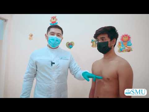 Видео: Пальпация области сердца