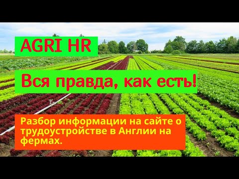 Видео: 💥 Agri HR - ВСЯ ПРАВДА! Работа на ферме в Англии.
