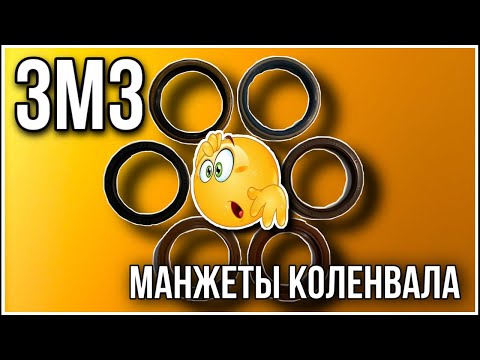 Видео: Сальники ЗМЗ 406
