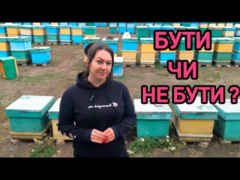Видео: Коли ми формуємо гнізда в зиму і чому не поспішаємо. Перга в зимовому гнізді.