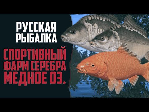 Видео: СПОРТИВНЫЙ ВОДОЁМ МЕДНОЕ ОЗЕРО | Фарм в Нормальную Температуру 🔴 Русская Рыбалка 4