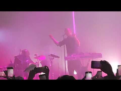 Видео: "Любовь" Дельфин в клубе Аврора 14.02.2025г.