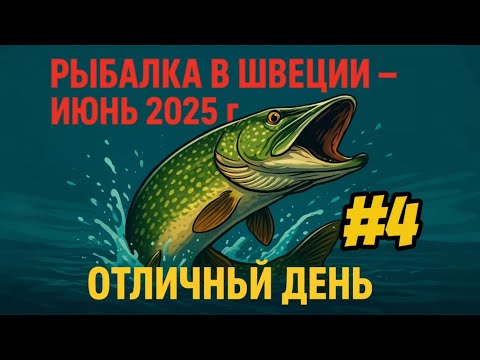 Видео: #4 Рыбалка в Швеции.  Июнь 2025. Отличный день. 