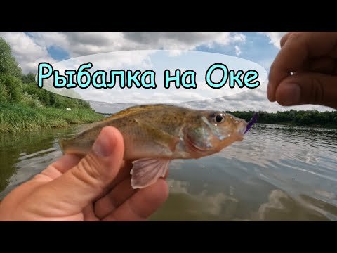Видео: Косяк с Катушкой ! Влияет ли цвет приманки ! Рыбалка на Оке ! Ловля на Спиннинг !