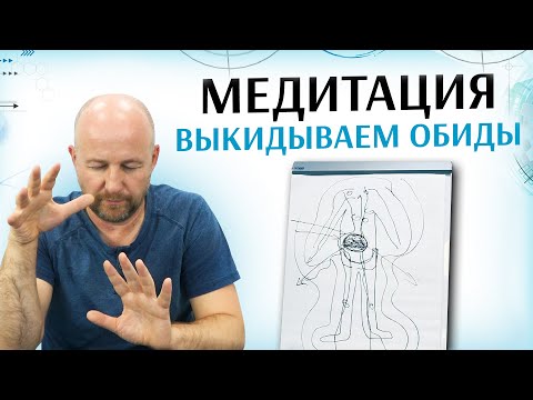 Видео: ⭕️ Предназначение Души или Смысл Жизни? | Медитация выкатываем обиды