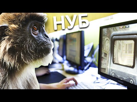 Видео: ВОЗВРАЩЕНИЕ НУБОВ