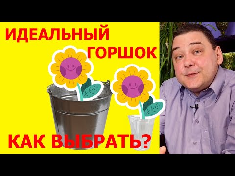 Видео: Как выбрать идеальный горшок для комнатного растения?
