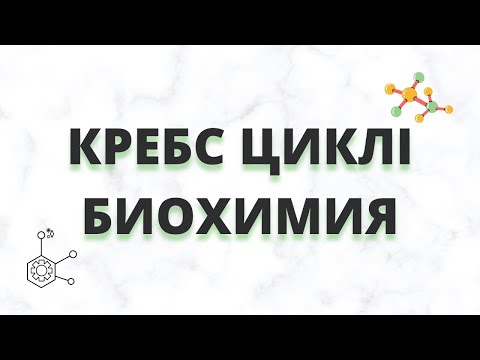 Видео: КРЕБС ЦИКЛІ || ТҮСІНІКТІ ТІЛДЕ КӨМІРСУ АЛМАСУЫНЫҢ БИОХИМИЯСЫ