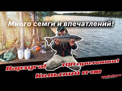 Видео: ТОП приманки на реке Варзуга! Кольский полуостров и белые ночи.