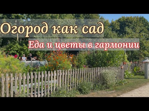 Видео: Фермерский огород в Парке садов 🌿 Красота и польза вместе 🌿
