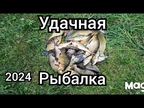Видео: рыбалка сетями,отличный улов👍,много рыбы