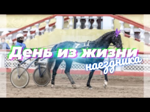 Видео: ДЕНЬ ИЗ ЖИЗНИ НАЕЗДНИКА