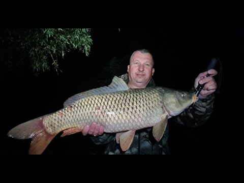 Видео: Рыбалка на Волге. Забрались в дикие безлюдные места. Осенний клев сазана и судака.