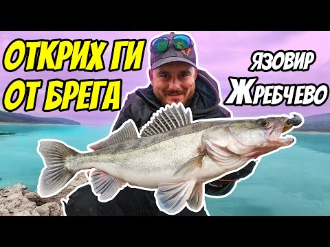 Видео: РАЗБИВАЦИЯ ОТ БРЕГА. Джиг риболов за бяла риба на язовир Жребчево