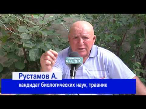 Видео: советы по предупреждению инсульта и инфаркта от Рустамова А.Д.