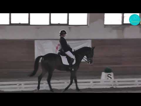 Видео: Бахитова Рузанна и Вебер. КП Юноши. 60,354%. Алматы. 19-10-25