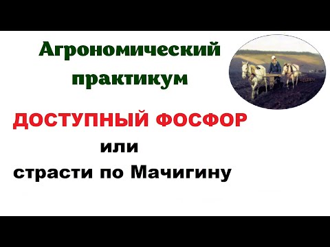 Видео: ДОСТУПНЫЙ ФОСФОР или страсти по Мачигину