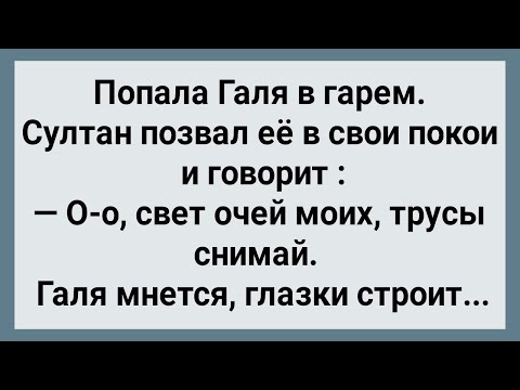 Видео: Как Галя в Гарем Попала! Сборник Свежих Анекдотов! Юмор!
