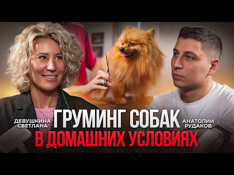Видео: Груминг собак в домашних условиях и в салоне. Что нужно знать, чтобы ваша собака была ухоженной?