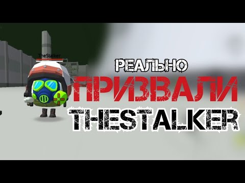 Видео: ПРИЗВАЛИ ИГРОКА THESTALKER В ЧИКЕН ГАН!!! #chickengun