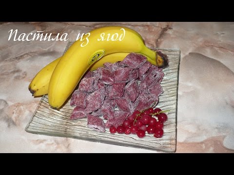 Видео: Пастила из ягод в сушилке Ezidri