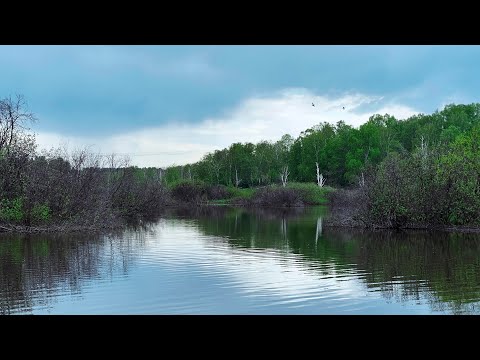 Видео: Новое озеро?Что там? Рыбалка на микроджиг в пруду. Ловим окуня на ультралайт 2023