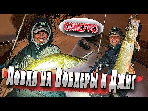 Видео: Сезон ночной ловли хищника на Нижней Москве реке стартовал | Денис Вихров