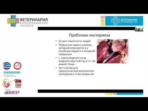 Видео: Афонюшкин В. Н. Какие тенденции в инцидентности заразной и незаразной патологии мы наблюдаем за...