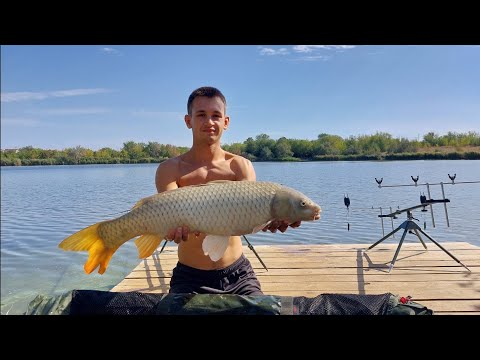 Видео: Ловля КОРОПА та АМУРА на флет фідер. Риболовля з ночівлею на природі. Водойма Аква Сіті.