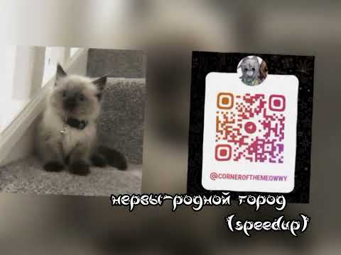 Видео: нервы-родной город (speedup)