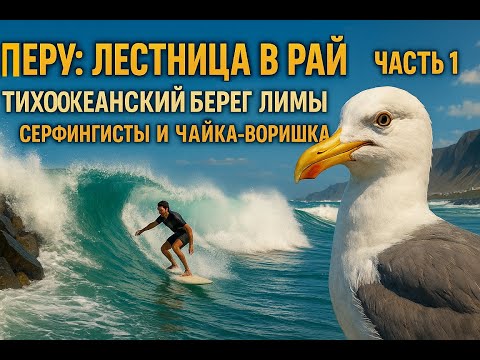 Видео: Перу: Лестница в Рай — Часть 1: Тихоокеанский Берег Лимы и Чайка-Воришка 4К