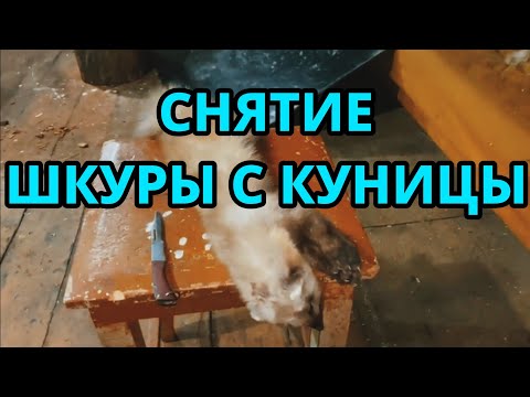 Видео: Снятие шкуры с куницы. Сварка ПНД ручным экструдером. САНИ.