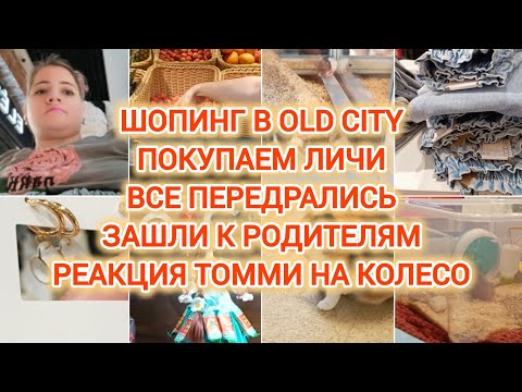 Видео: VLOG | ШОПИНГ В OLD CITY | ПОКУПАЕМ ЛИЧИ | ВСЕ ПЕРЕДРАЛИСЬ | РЕАКЦИЯ ТОММИ НА КОЛЕСО