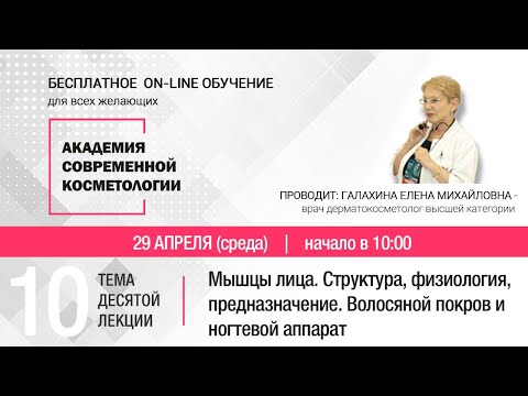 Видео: ДЕCЯТАЯ ЛЕКЦИЯ. Мышцы лица. Структура, физиология, предназначение